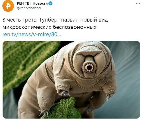 Политические комментарии и другой разный юмор с сарказмом и без = 2