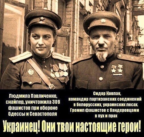 О политике и не только