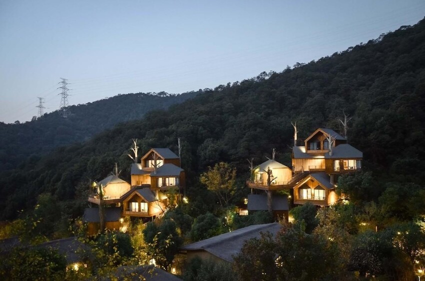 В Китае построили волшебный отель из домиков на деревьях