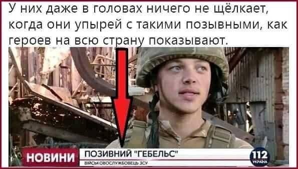 О политике и не только