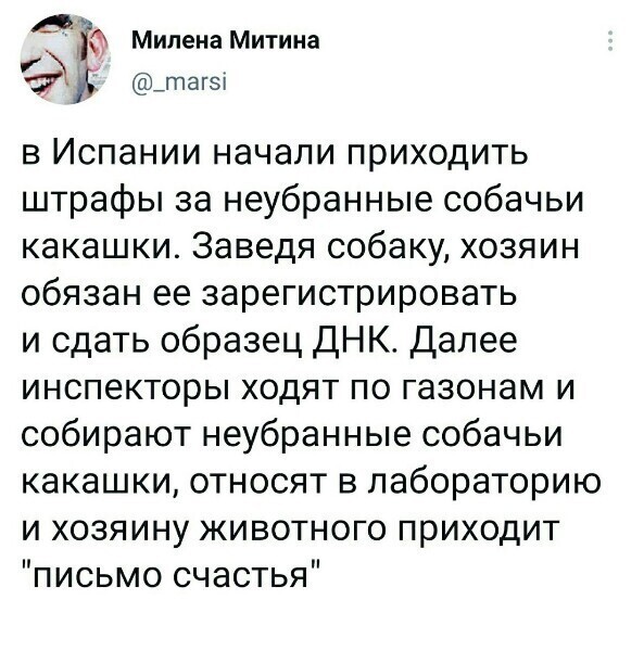О политике и не только