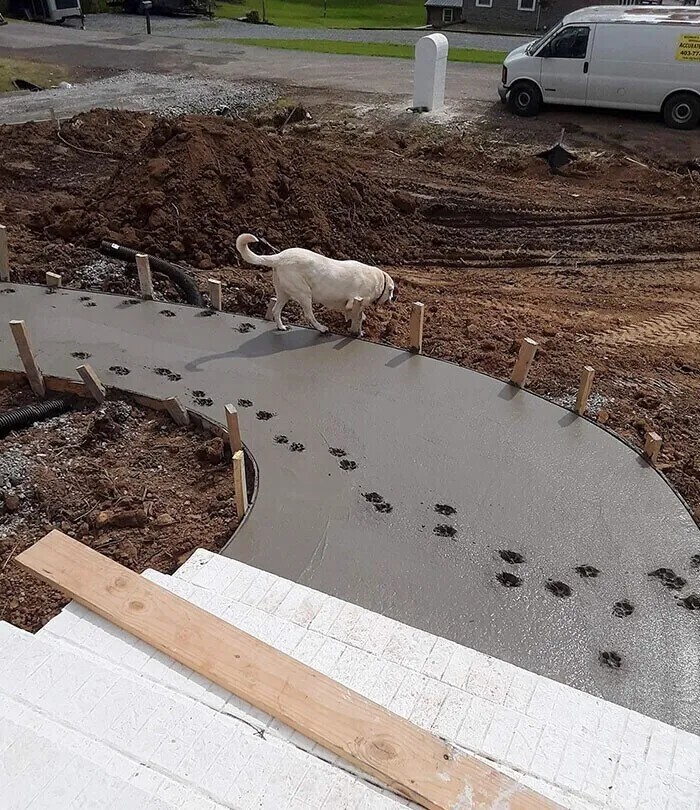 «Когда хороший мальчик пошел вразнос..»