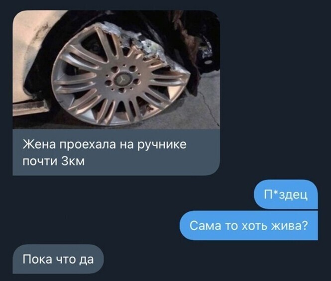 Смешные и познавательные картинки