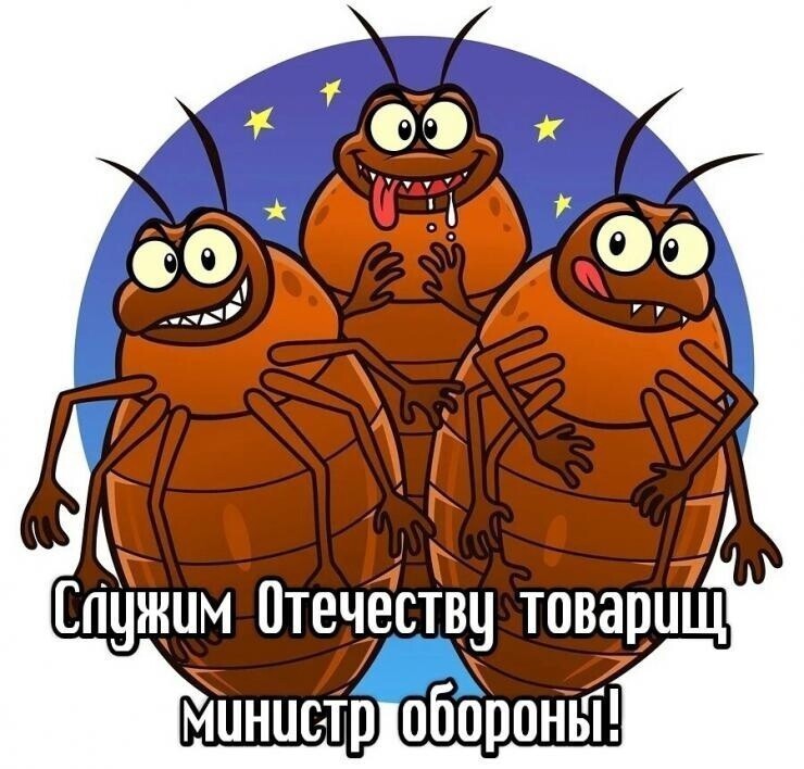 О политике и не только