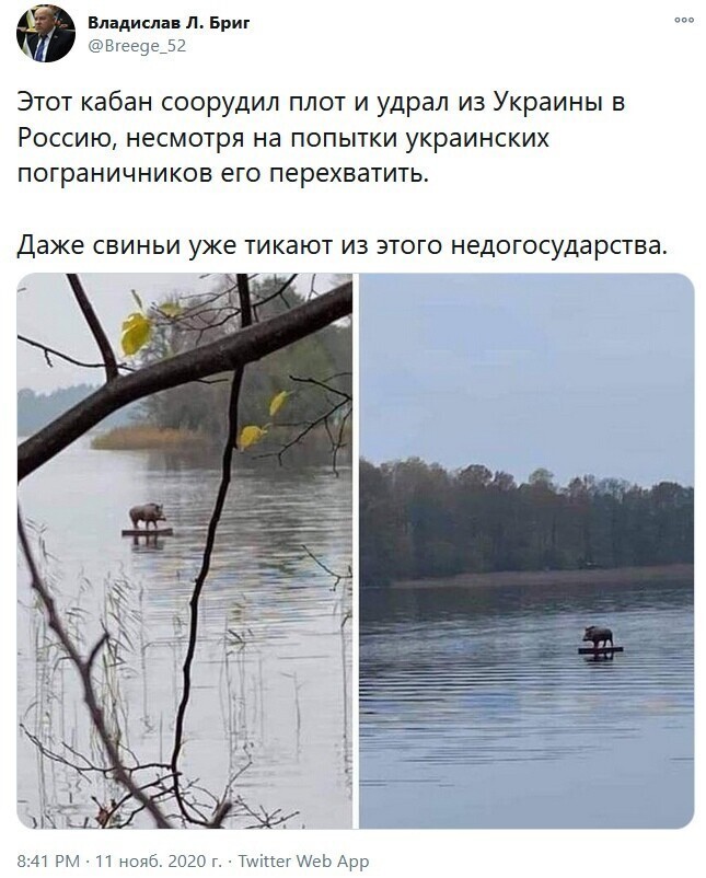 О политике и не только