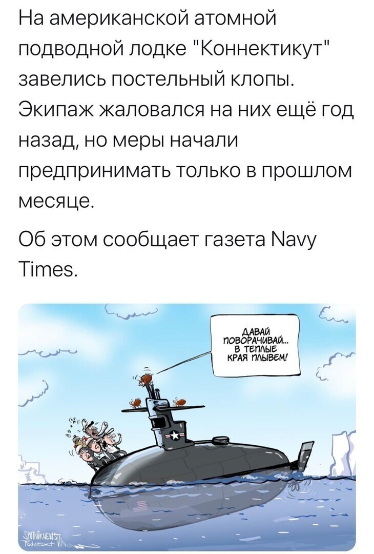 О политике и не только