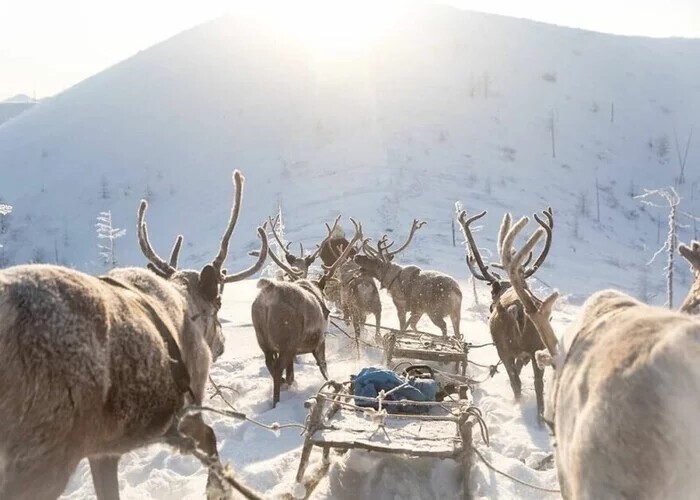 Якутянин в числе номинантов самого престижного международного конкурса фотоWorld Press Photo — самый