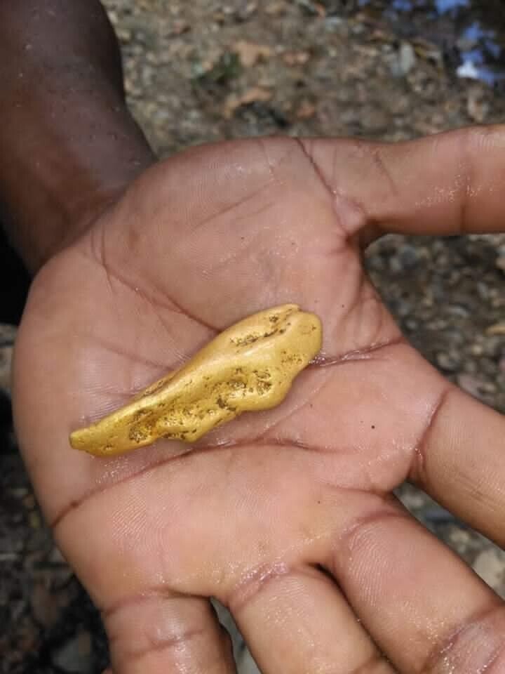 Как добывают золотые самородки в Доминиканских джунглях! Золото здесь буквально лежит под ногами!