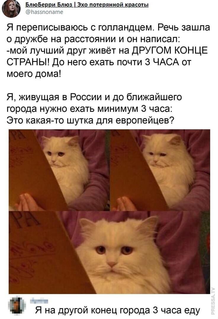 Юмор из соцсетей