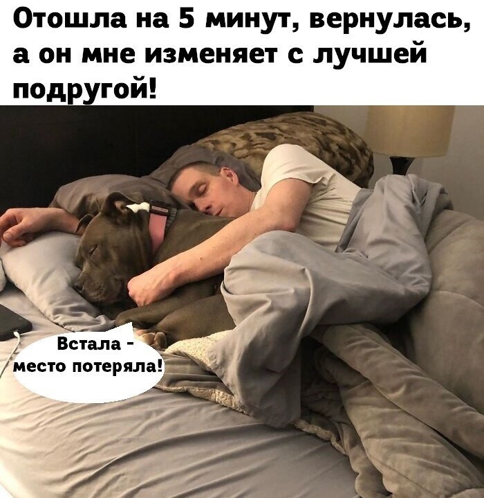 Веселые  картинки