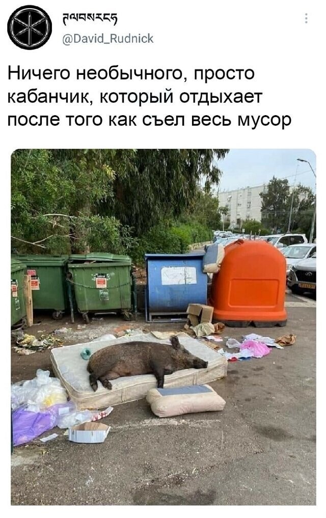 Скрины из соцсетей