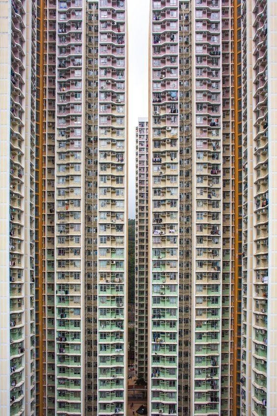Обыкновенные человейники, Гонконг