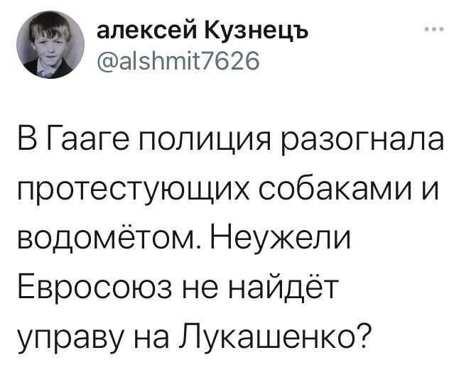 О политике и не только