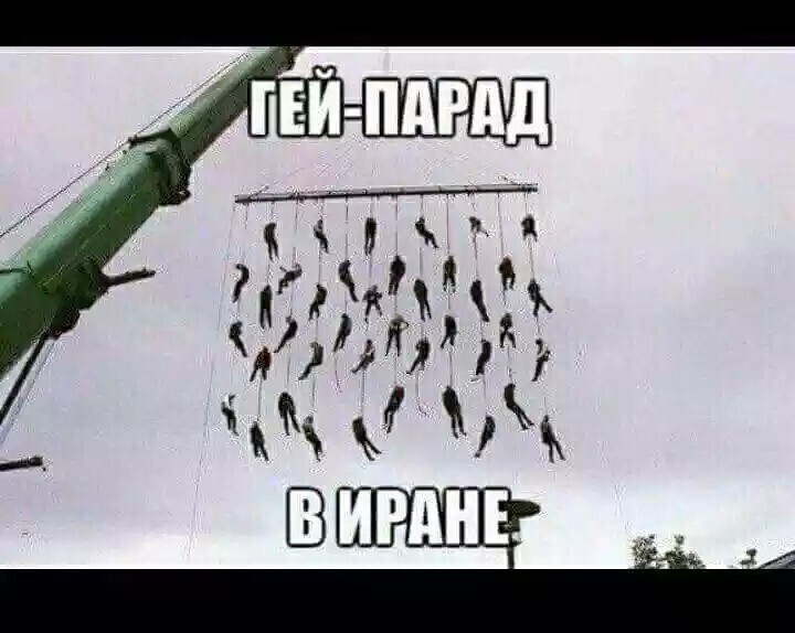 О политике и не только