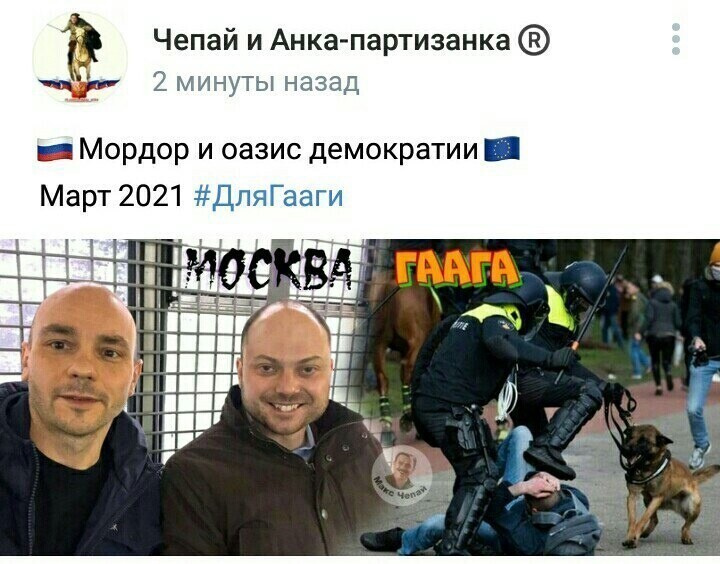 О политике и не только