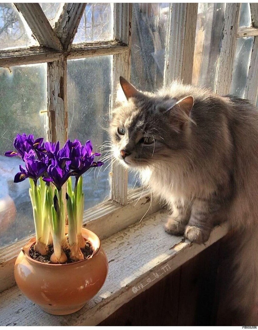 Доброе утро