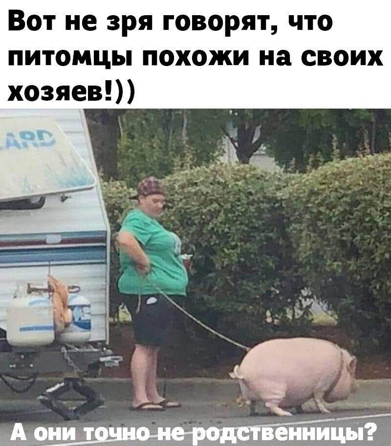 Веселые  картинки