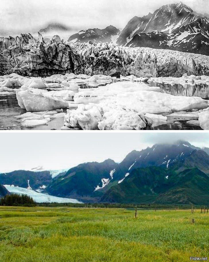Ледник Педерсен, Аляска, 100 лет назад и сейчас