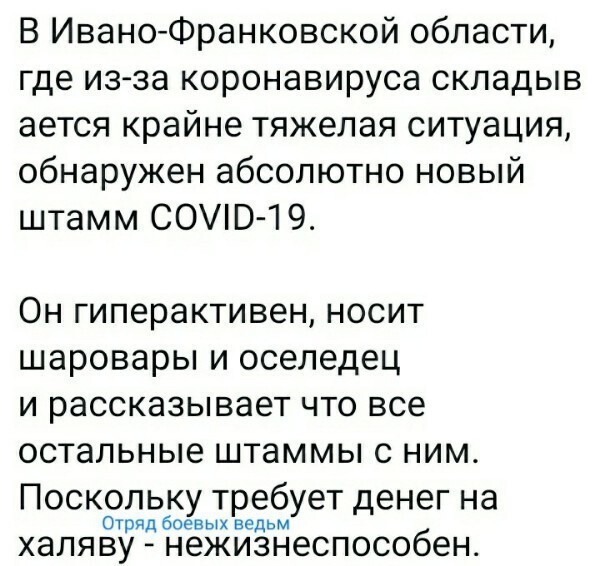 О политике и не только