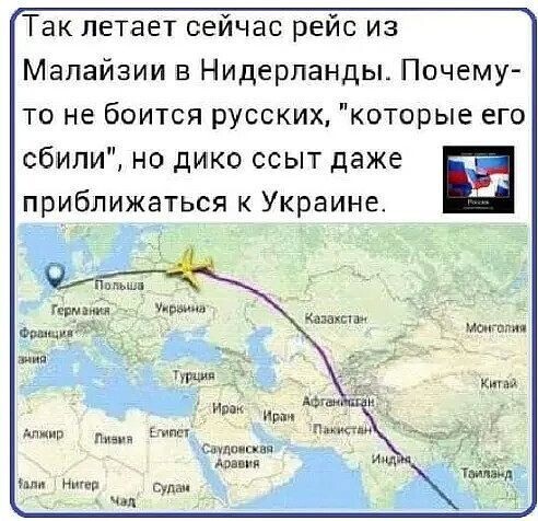 О политике и не только