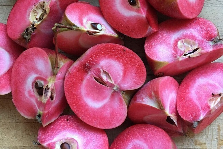 Красная любовь (Redlove) - яблоки скрещенные с помидором