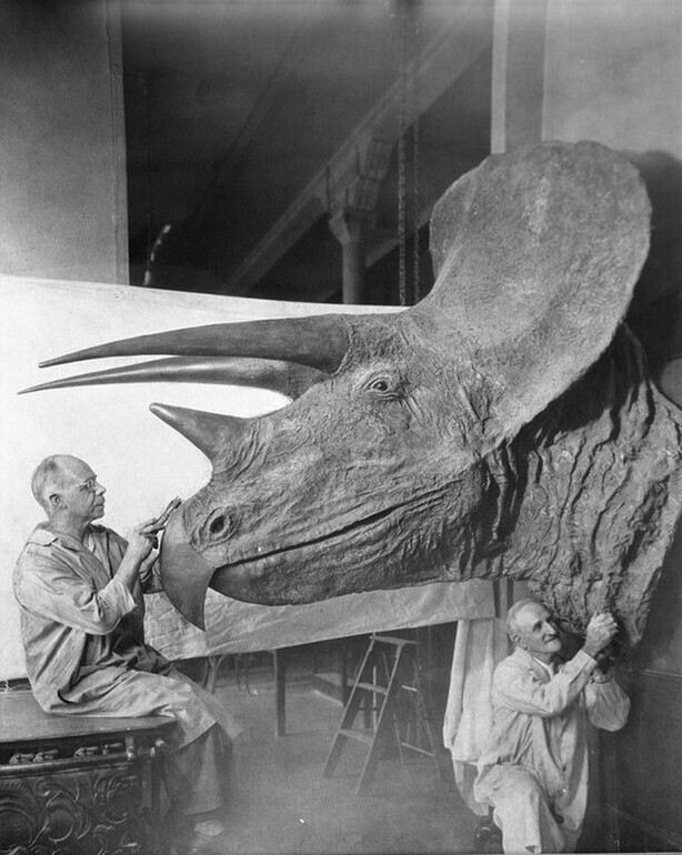 Скульпторы Чарльз Ланг и Отто Фалькенбах во время работы над головой трицератопса для Филдовского музея естественной истории в Чикаго
