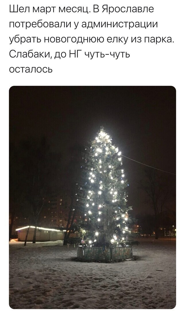 О политике и не только