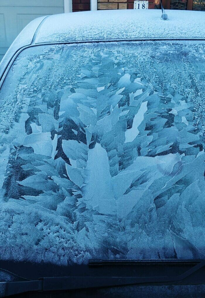 23. Ледяной узор на стекле автомобиля