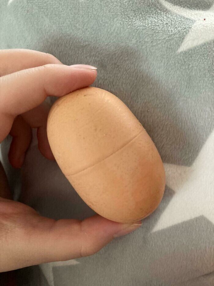 24. Куриное яйцо, которое похоже на яйцо из "Киндер-сюрприза"