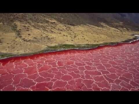 Красно-розовое озеро Натрон 