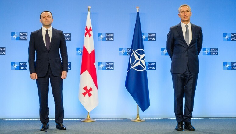 План по захвату Черного моря: зачем НАТО дает Грузии пустые обещания о принятии в альянс