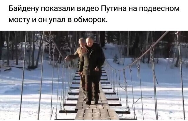 О политике и не только