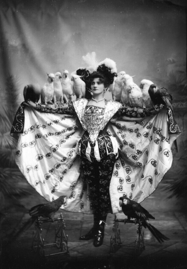 Мадам Марзелла и ее дрессированные попугаи. Сидней, Австралия, 1890-е