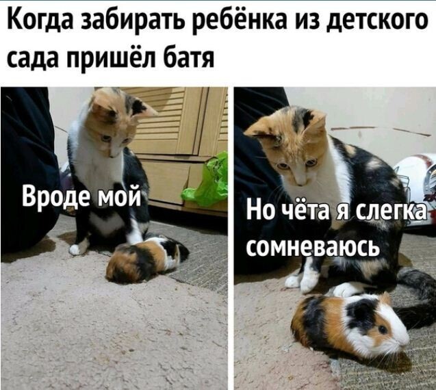 Вторнешние демотиваторы, картинки и ещё