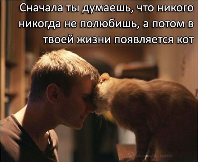 Вторнешние демотиваторы, картинки и ещё