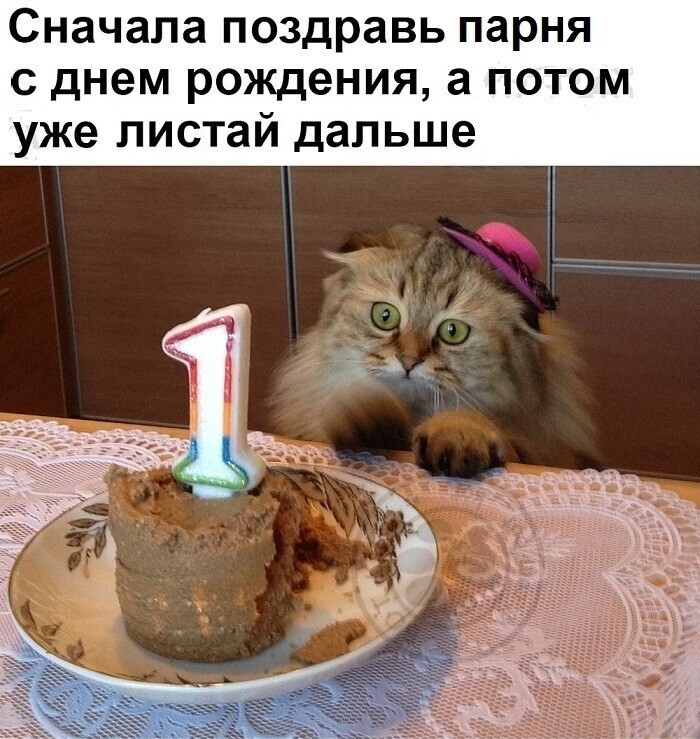 Про котов