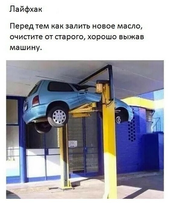 Смешные и познавательные картинки