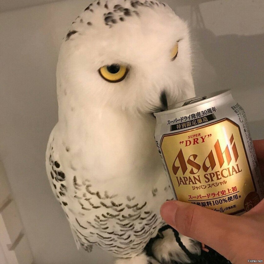 Пиво, если чо)