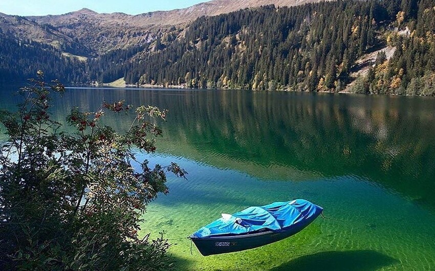 Голубое озеро Нельсон в Новой Зеландии имеет титул самого чистого озера в мире. Видимость в озере составляет 80 метров