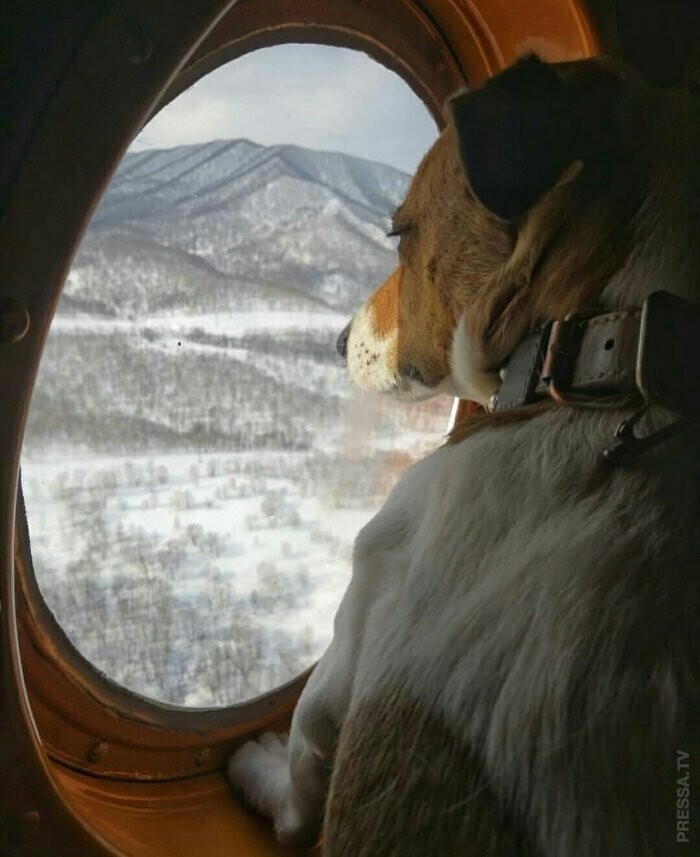 Четверешные утренние фотоприколы и другое