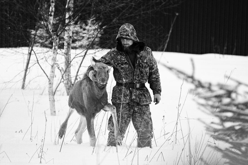 Как бывший спецназовец в одиночку спасает животных от браконьеров