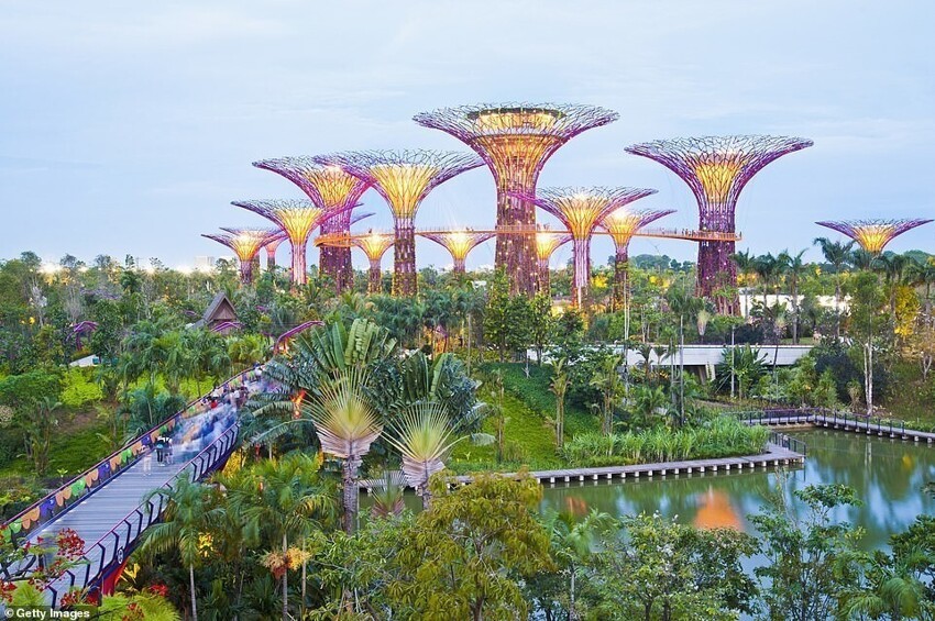 "Сады у залива", Сингапур