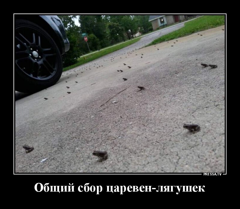 Винегрет позитива в субботу