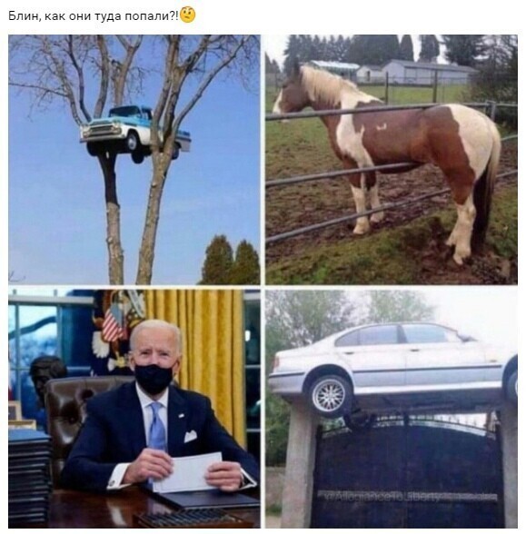 О политике и не только