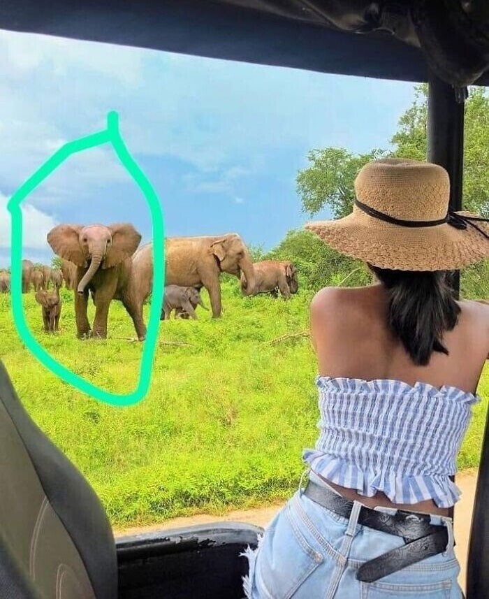 Инстаграмерша добавила фотошопом слонов на свой снимок из Шри-Ланки. Но вот беда - слоны оказались африканскими