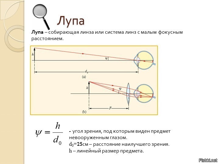 Какое изображение дает лупа физика