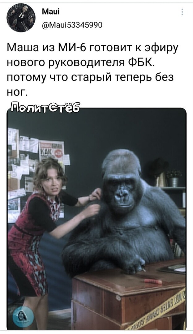 О политике и не только
