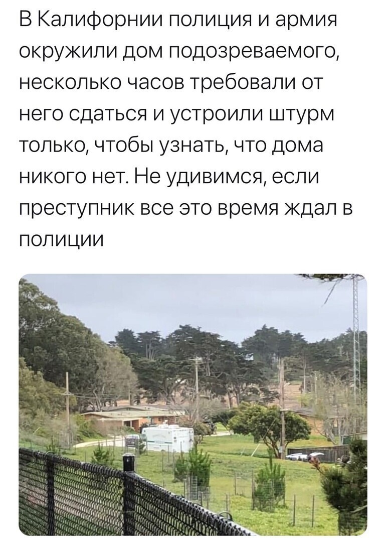О политике и не только