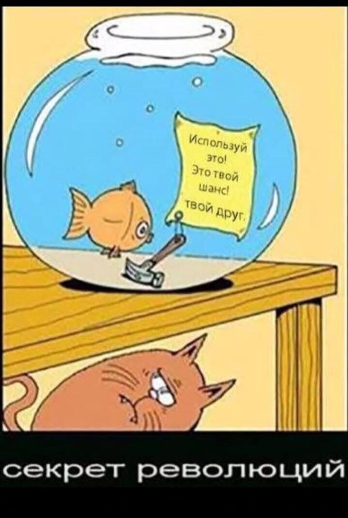 О политике и не только