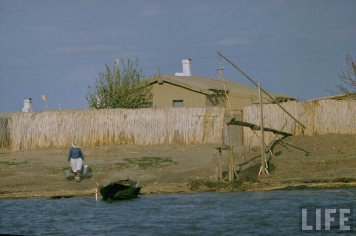 Производство чёрной икры в Астрахани в 1960-м году